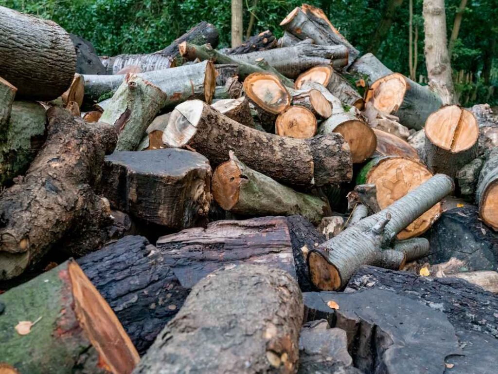  Jakie są rodzaje łuparek do drewna i do czego warto ich użyć?